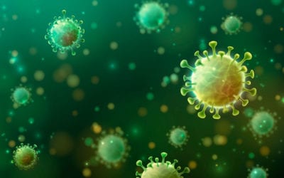 Bactiblock 101 S1.19 face à Sars-Cov-2